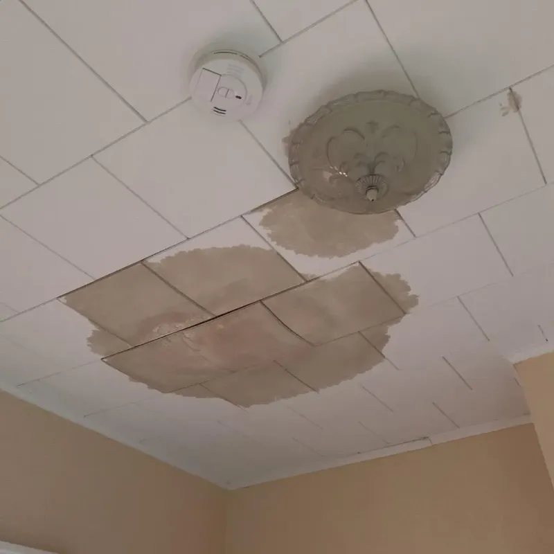 Ceiling Water Damage Repair in Boiling Springs, NC