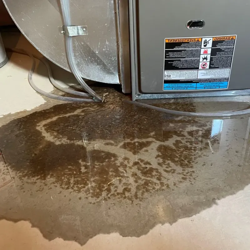 Pipe Burst and Leak Restoration in Boiling Springs, NC