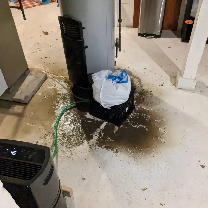 Sewage Backup Cleanup Service in Boiling Springs, NC